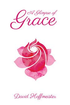 A Glimpse of Grace (Spiral Bound)
